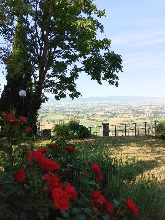 Residenza Messer Pajola Assisi Bagian luar foto