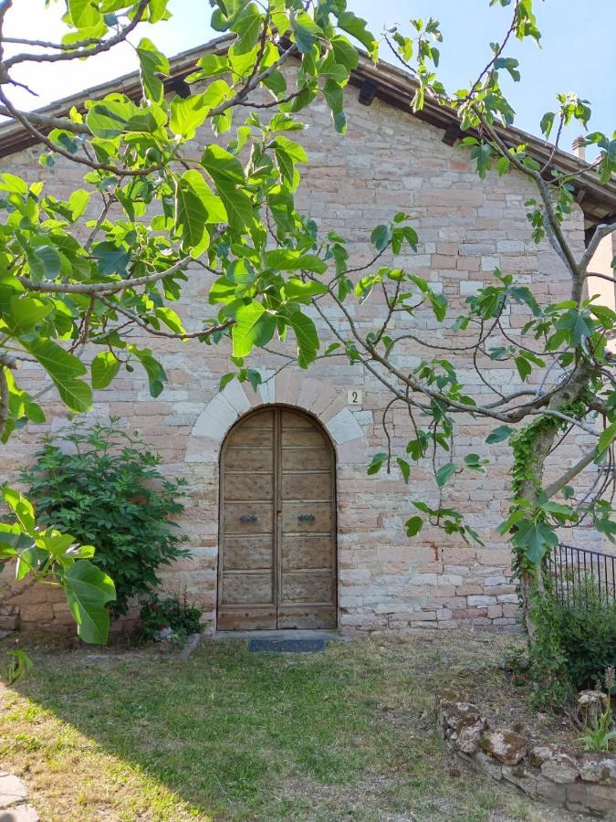 Residenza Messer Pajola Assisi Bagian luar foto