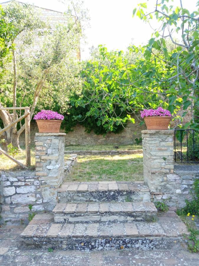 Residenza Messer Pajola Assisi Bagian luar foto