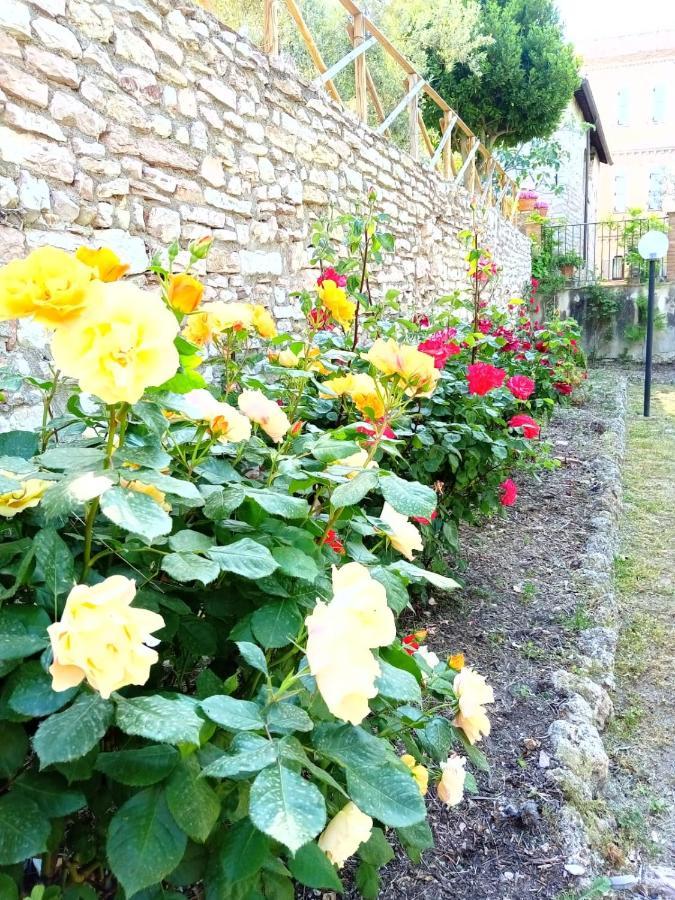 Residenza Messer Pajola Assisi Bagian luar foto