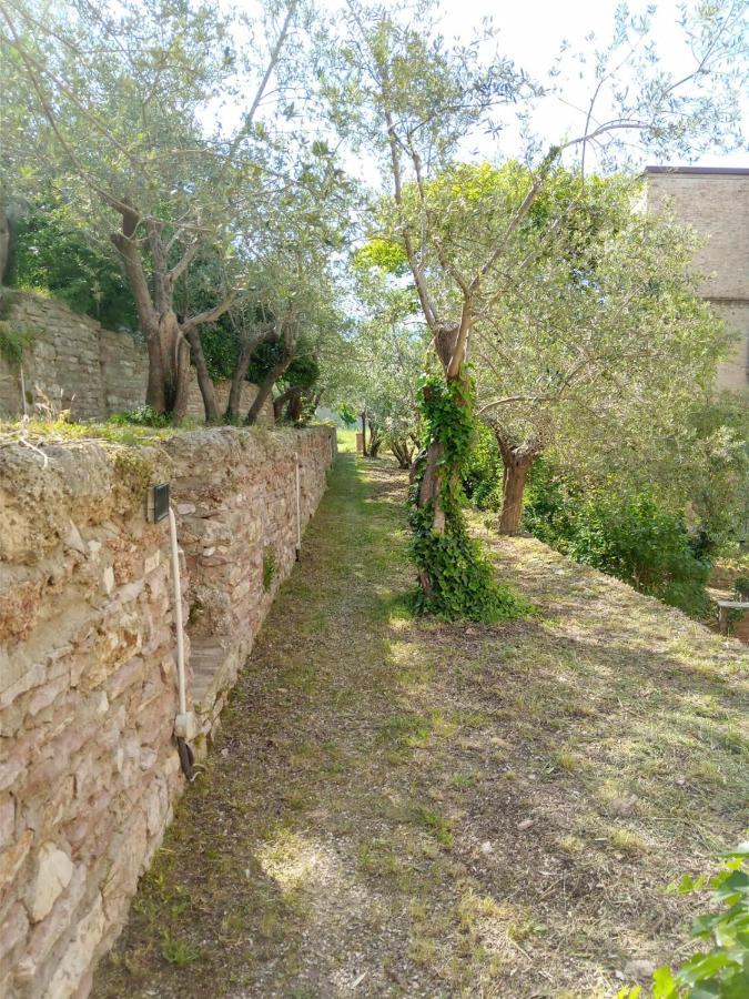 Residenza Messer Pajola Assisi Bagian luar foto