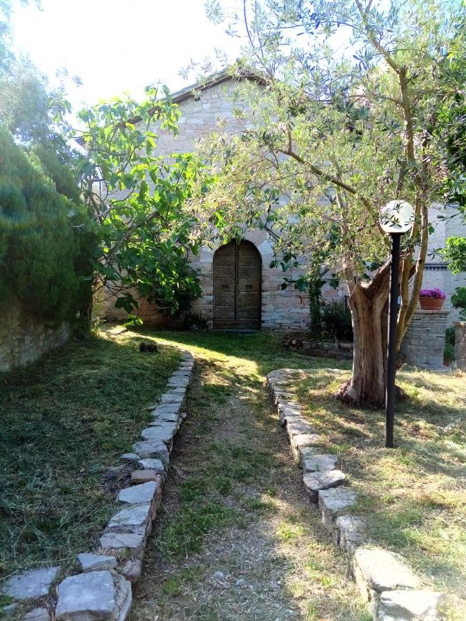 Residenza Messer Pajola Assisi Bagian luar foto